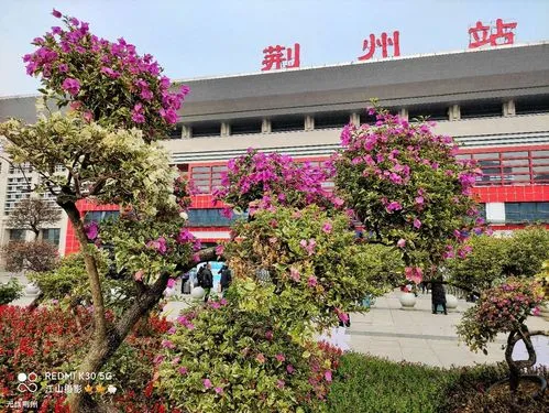 广州到荆州物流公司_广州到荆州货运专线_轿车托运_直达物流时效价格